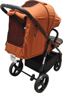 Carucior-Baby-Care-S508-Gold-5