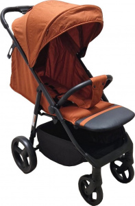 Carucior-Baby-Care-S508-Gold-2