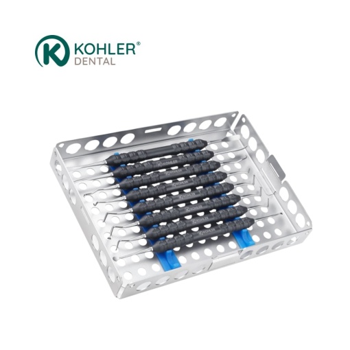 8308 - TISSUE ELEVATION SET, PENN ENDO CREATION SETS ACC.TO PROF. SYNGCUK KIM - KOHLER Dental