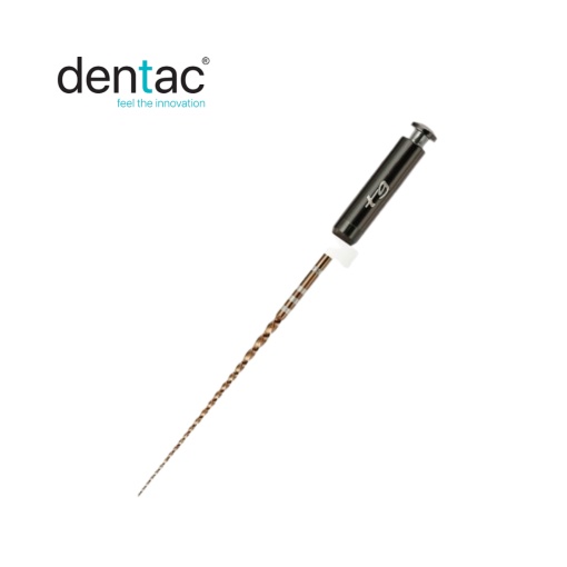 T-Endo Must TG ACE RECIPROC 31mm, multi use, DENTAC