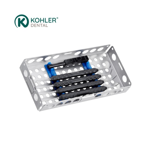 8309 - PLUGGER SET, PENN ENDO CREATION SETS ACC . TO PROF. SYNGCUK KIM - KOHLER