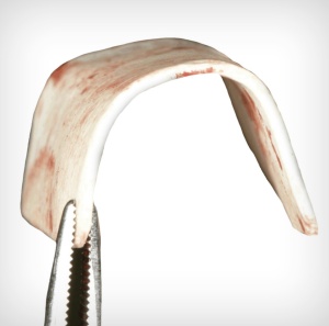 Foi corticale flexibile 21-25 x 23-27 x 0,5 mm - Bioteck Spa - Img 2