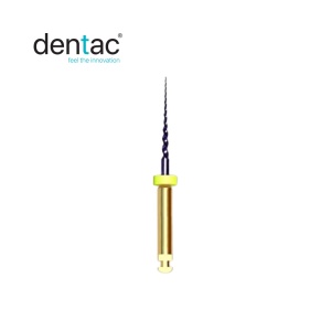 PROENDO Sistem rotativ SX - Pro-taper, DENTAC - Img 1