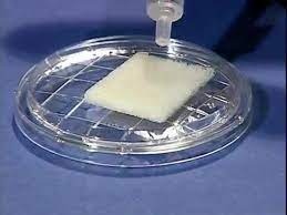 Lamina Bioplant ELASTA - 30 x 20 x 3 mm - MAGGI - Img 2