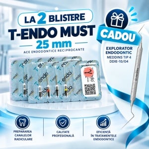 Pachet 2 blistere T-Endo Must 25 mm + Explorator Endodontic Meddins Tip 4 DDIE-10/04 CADOU