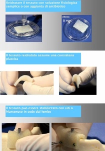 Lamina Bioplant ELASTA - 30 x 20 x 3 mm - MAGGI - Img 4