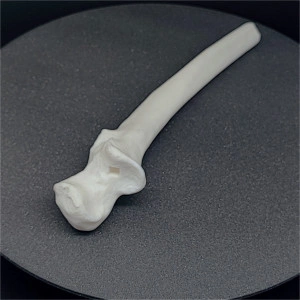 Articulație cot uman, scanat și printat 3D - Img 5