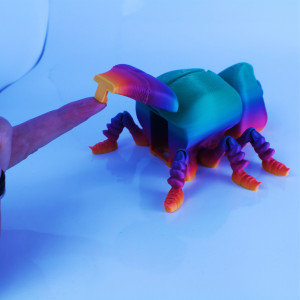 The Stingy Beetle - Img 5