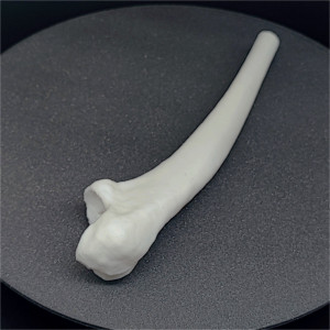 Articulație cot uman, scanat și printat 3D - Img 6