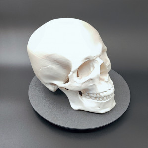 Craniu uman, scanat și printat 3D - Img 2