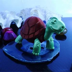 Flexible Turtle - Img 5