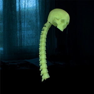 Glow-In-The-Dark Skull - Img 2