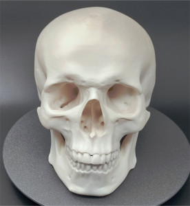 Craniu uman, scanat și printat 3D - Img 3