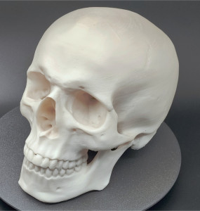 Craniu uman, scanat și printat 3D - Img 5