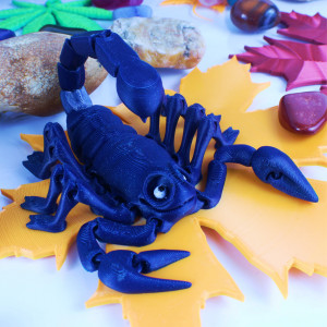 The Bold Scorpion - Img 4