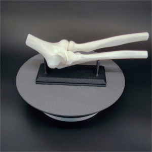 Articulație cot uman, scanat și printat 3D