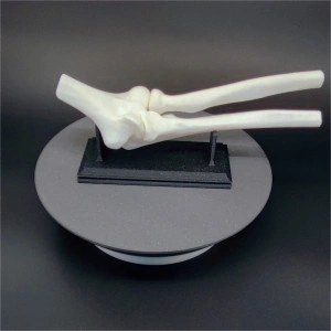 Articulație cot uman, scanat și printat 3D
