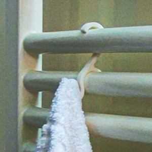 Towel hanger TYPE 4 - Img 6