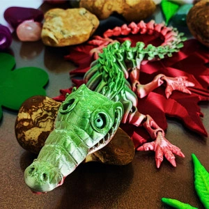 The Friendly Alligator - Img 2