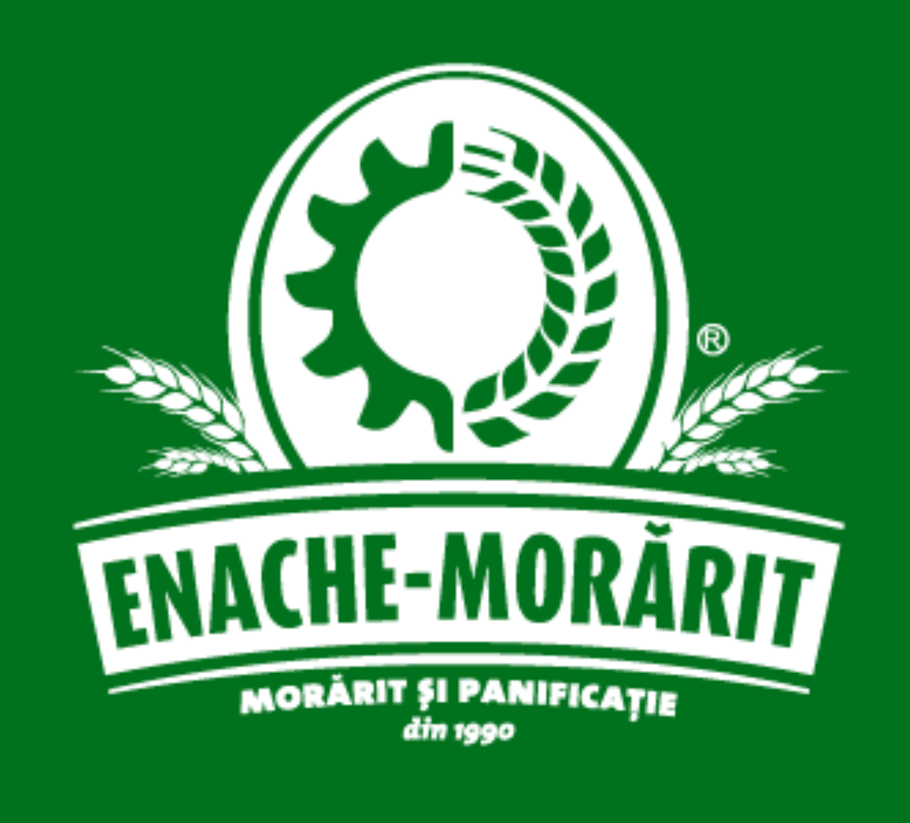 Enache Morarit