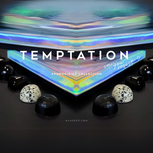 Colectia TEMPTATION - Can you resist? Asortiment de 6 praline afrodisiace pentru momente intense de răsfăț 500g