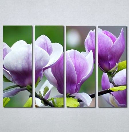 Slika na platnu Ljubičasta magnolija Nina3097_4