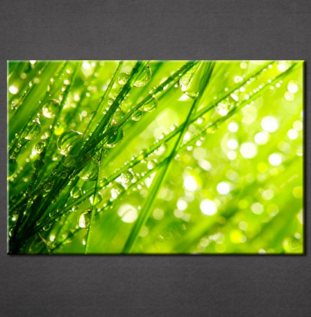 Slika na platnu Zelena trava Nina3051_P