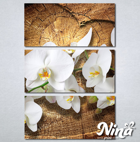 Slike na platnu Bele orhideje Nina323_3 - Img 3