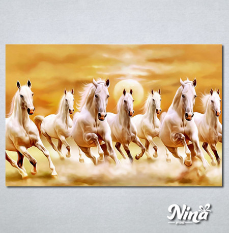 Slike na platnu Beli konji Nina432_P
