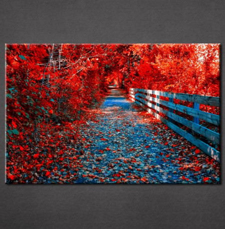 Slike na platnu Crveno lišće Nina3082_P