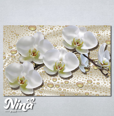 Slike na platnu Cvet orhideje Nina386_P