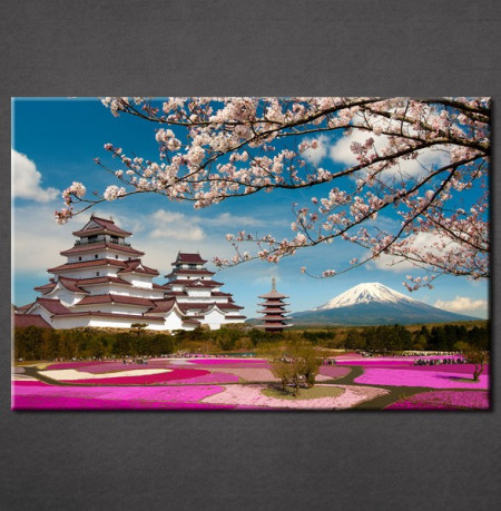 Slike na platnu Japan trešnjin cvet Nina30112_P