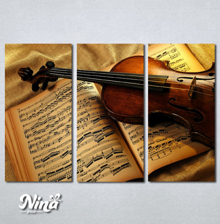 Slike na platnu Violina Nina473_3