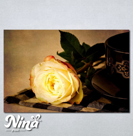 Slike na platnu Zuta ruza Nina242_P
