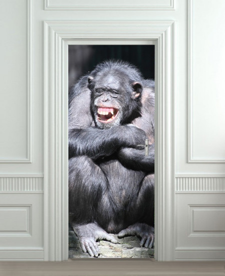 Nalepnica za vrata Majmun 6013