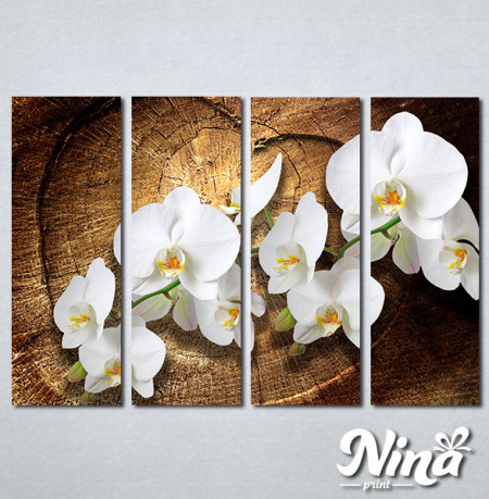 Slike na platnu Bele orhideje Nina323_4