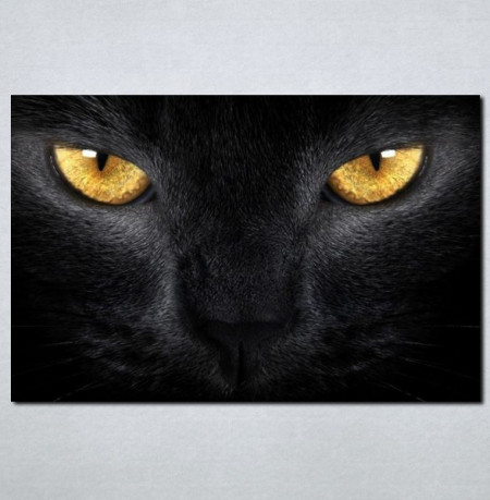 Slike na platnu Crna mačka Nina030_P
