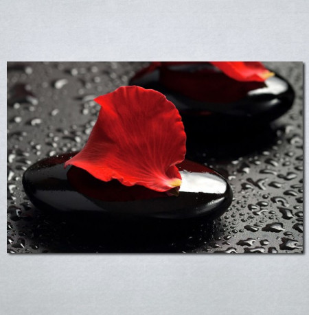 Slike na platnu Crvena latica cveta Nina 124_P