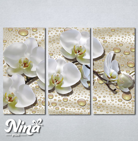 Slike na platnu Cvet orhideje Nina386_3