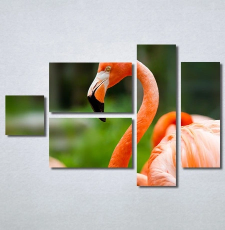Slike na platnu Flamingo ptica Nina30256_5 - Img 3