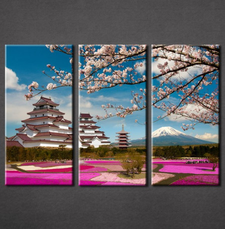 Slike na platnu Japan trešnjin cvet Nina30112_3