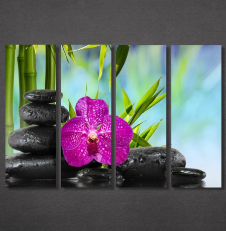 Slike na platnu Ljubičasta orhideja i kamen Nina30131_4
