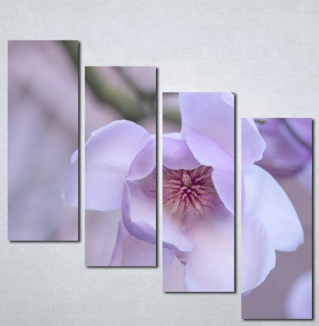 Slike na platnu Ljubicasti cvet Nina001_4