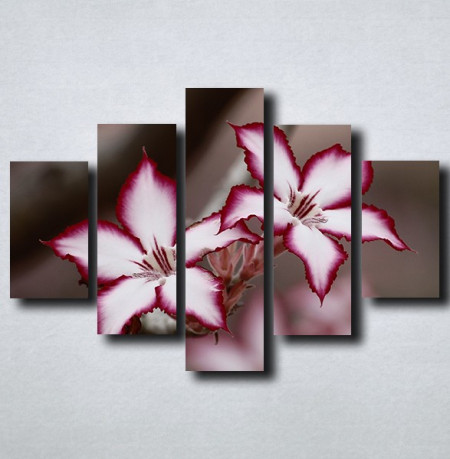 Slike na platnu Neobican cvet Nina175_5