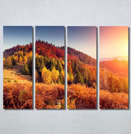 Slike na platnu Planinske jesenje boje Nina30222_4