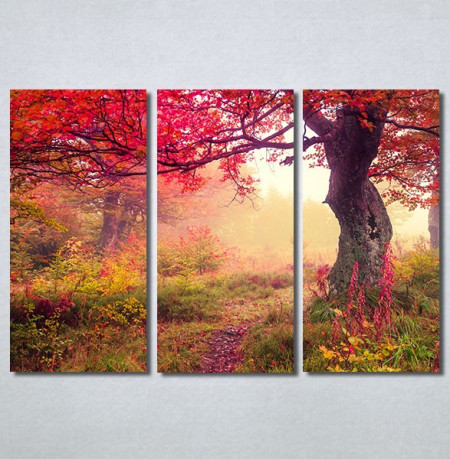 Slike na platnu Prelepa jesen u šumi Nina30244_3