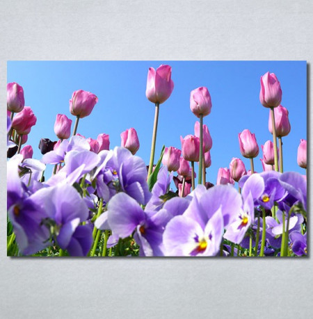 Slike na platnu Purple Flowers Nina30293_P