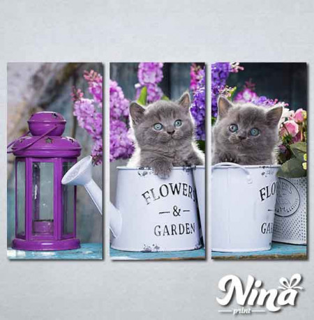 Slike na platnu Sive mačke Nina311_3
