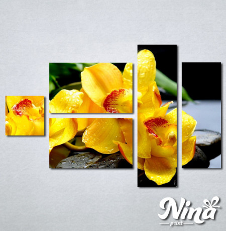 Slike na platnu Žuta orhideja Nina252_5 - Img 3