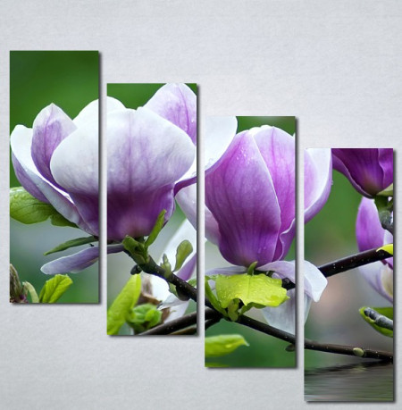 Slika na platnu Ljubičasta magnolija Nina3097_4 - Img 3